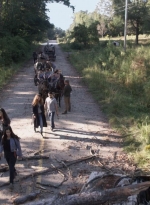 twd913_0427.jpg