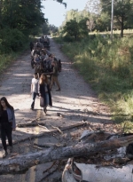 twd913_0428.jpg