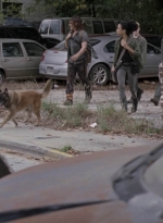 twd913_0509.jpg