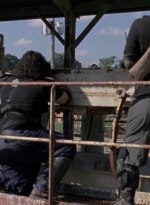 twd913_0585.jpg