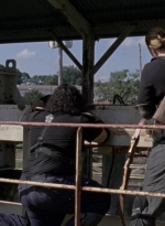 twd913_0589.jpg