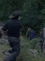 twd913_1505.jpg