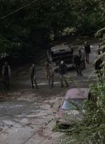 twd913_1572.jpg