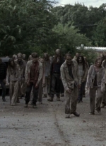 twd913_1582.jpg