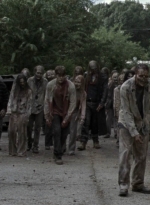 twd913_1587.jpg