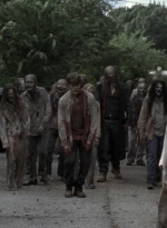 twd913_1590.jpg