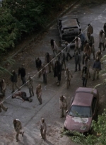 twd913_1609.jpg