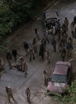 twd913_1610.jpg