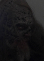 twd913_1976.jpg