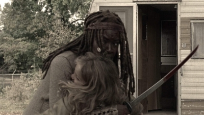 twd914_2010.jpg