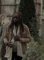 twd914_1095.jpg