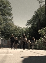 twd914_2260.jpg