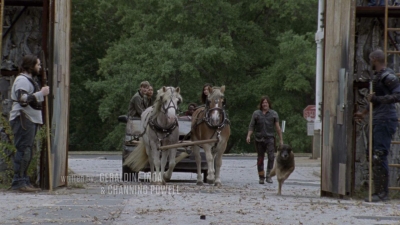 twd915_0356.jpg