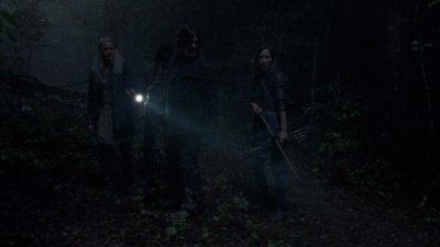 twd915_1494.jpg