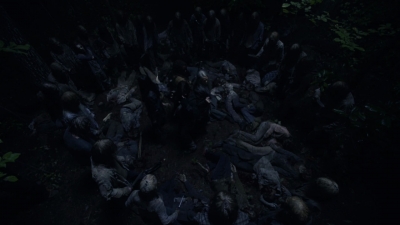 twd915_1577.jpg
