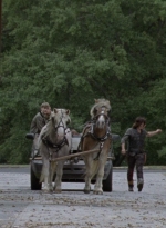 twd915_0351.jpg