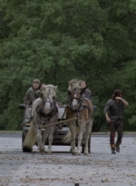 twd915_0352.jpg