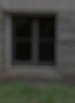 twd915_1895.jpg