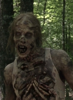 twd1001_1527.jpg