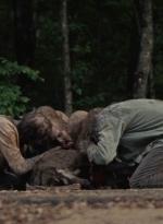 twd1001_1597.jpg