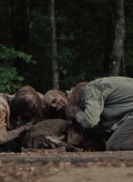 twd1001_1598.jpg