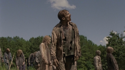 twd1002_1478.jpg