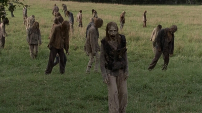 twd1002_1520.jpg