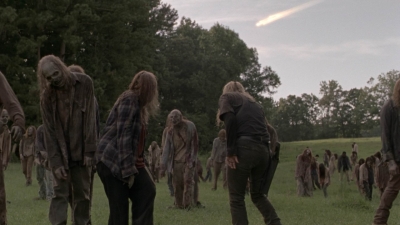 twd1002_1575.jpg