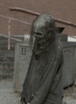 twd1002_0372.jpg