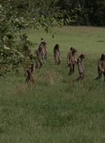 twd1002_1454.jpg