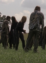 twd1002_1491.jpg