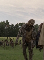 twd1002_1498.jpg