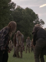 twd1002_1574.jpg