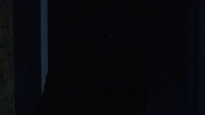 twd1003_1215.jpg