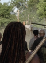 twd1003_0087.jpg