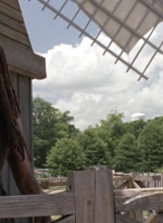 twd1003_0155.jpg