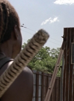 twd1003_0193.jpg