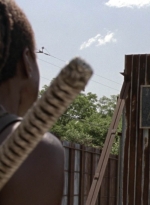 twd1003_0194.jpg