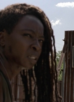 twd1003_0196.jpg