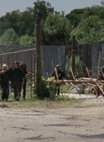 twd1003_0491.jpg