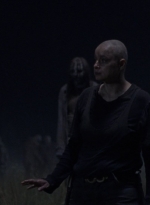 twd1003_0771.jpg