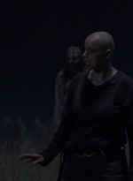 twd1003_0773.jpg