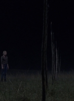twd1003_0775.jpg