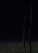 twd1003_0799.jpg