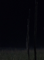 twd1003_0800.jpg