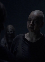 twd1003_0848.jpg
