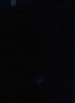 twd1003_1213.jpg