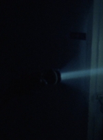 twd1003_1224.jpg