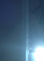twd1003_1241.jpg