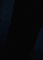twd1003_1255.jpg